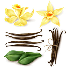 Vanilla