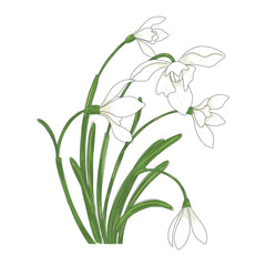 Jasmine