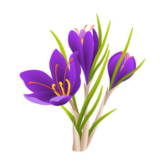 Saffron