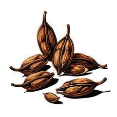 Cardamom