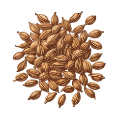 Cumin